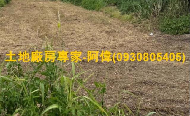 台南麻豆工業地-0