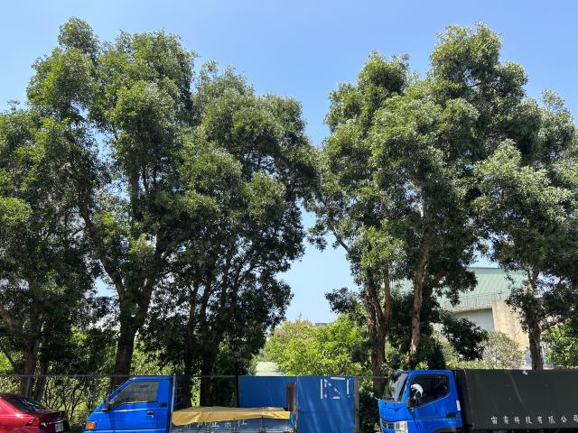 苗栗竹南工業地-1