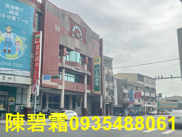 台南山上工業地-9