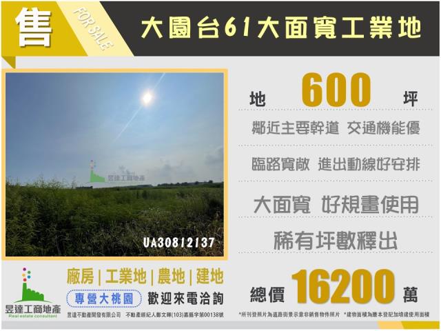 桃園大園工業地-3