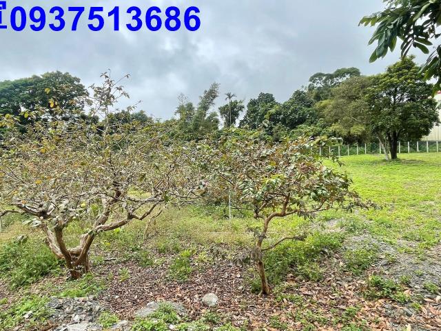 宜蘭頭城工業地-4