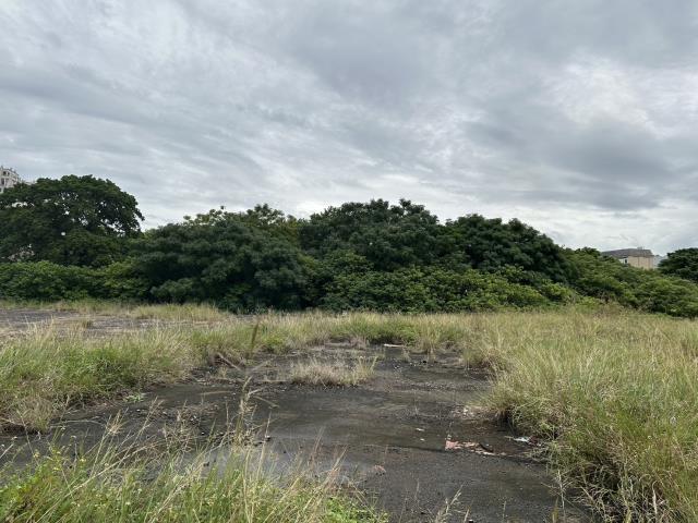 苗栗竹南工業地-1