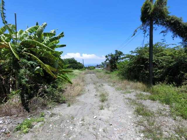 屏東東港工業地-9