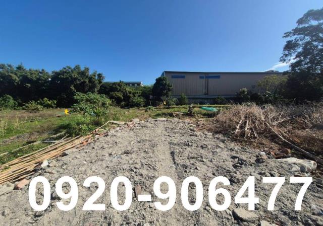 大園工業地出售