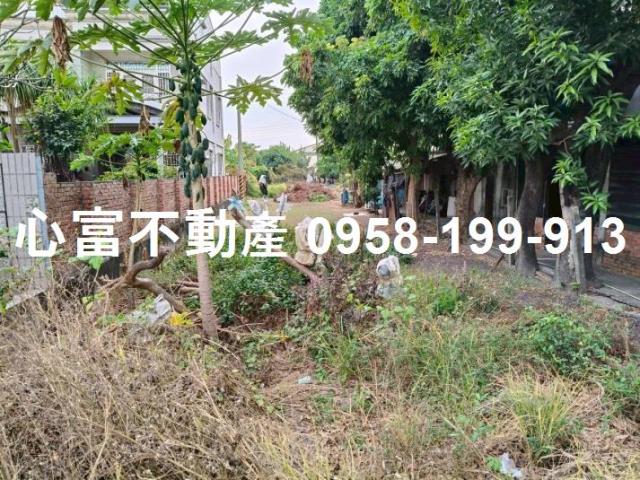 高雄路竹工業地-1