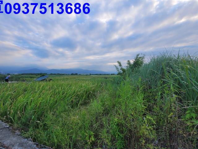 宜蘭五結工業地-5