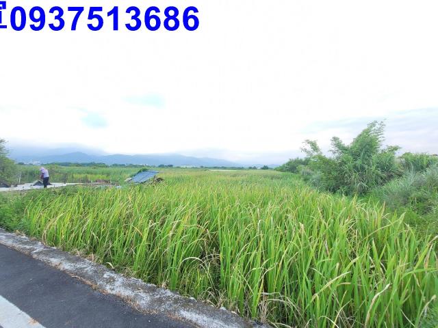 宜蘭五結工業地-8