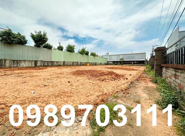 桃園工業地丁建楊梅工業地丁建高鐵南路大路邊無道路持分純肉地