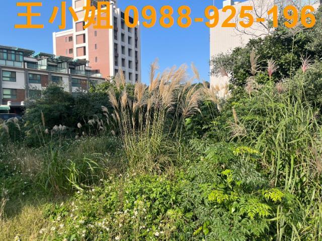 桃園觀音工業地-6