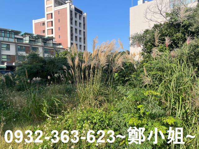 桃園觀音工業地-1