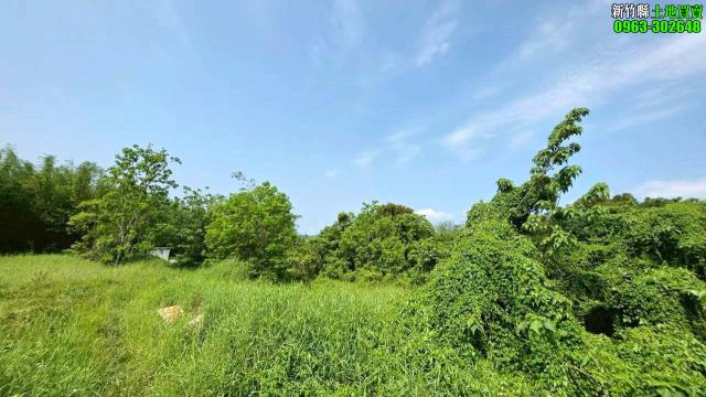 近台元科技園區小坪數工業地