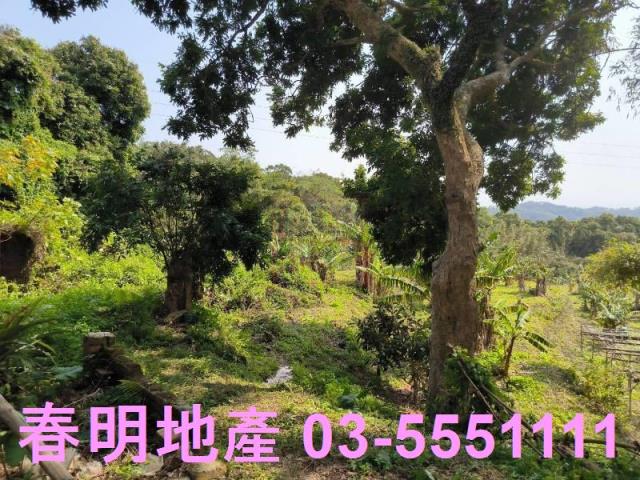 詠騰工商工業地廠房廠辦農建地交通用地戴家蓁可廠登可分租一樓