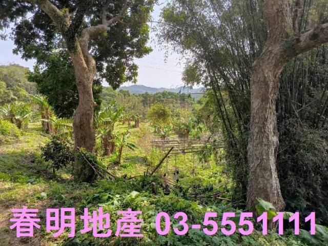 新竹竹東工業地-1