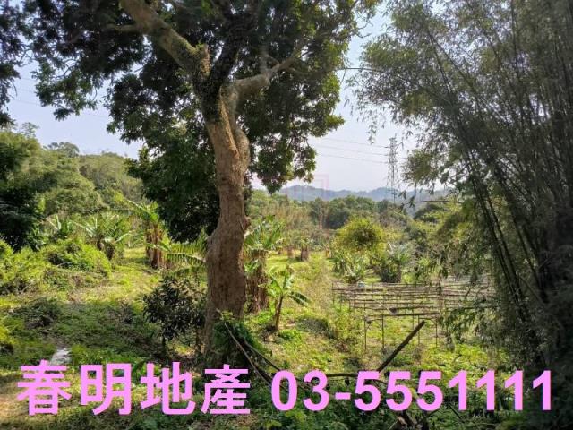 新竹竹東工業地-2